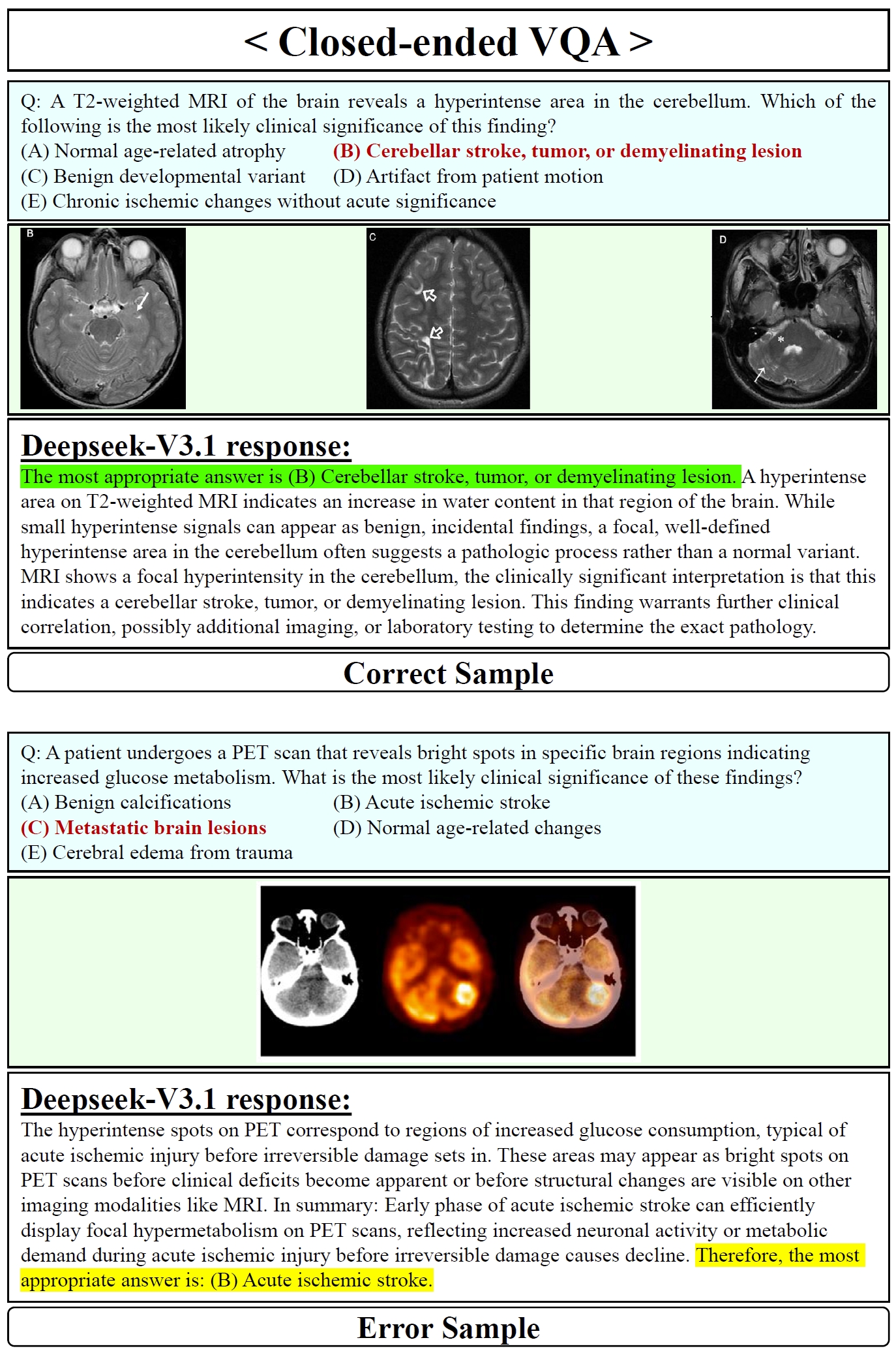 Deepseek-V3.1 Closed-ended VQA Samples